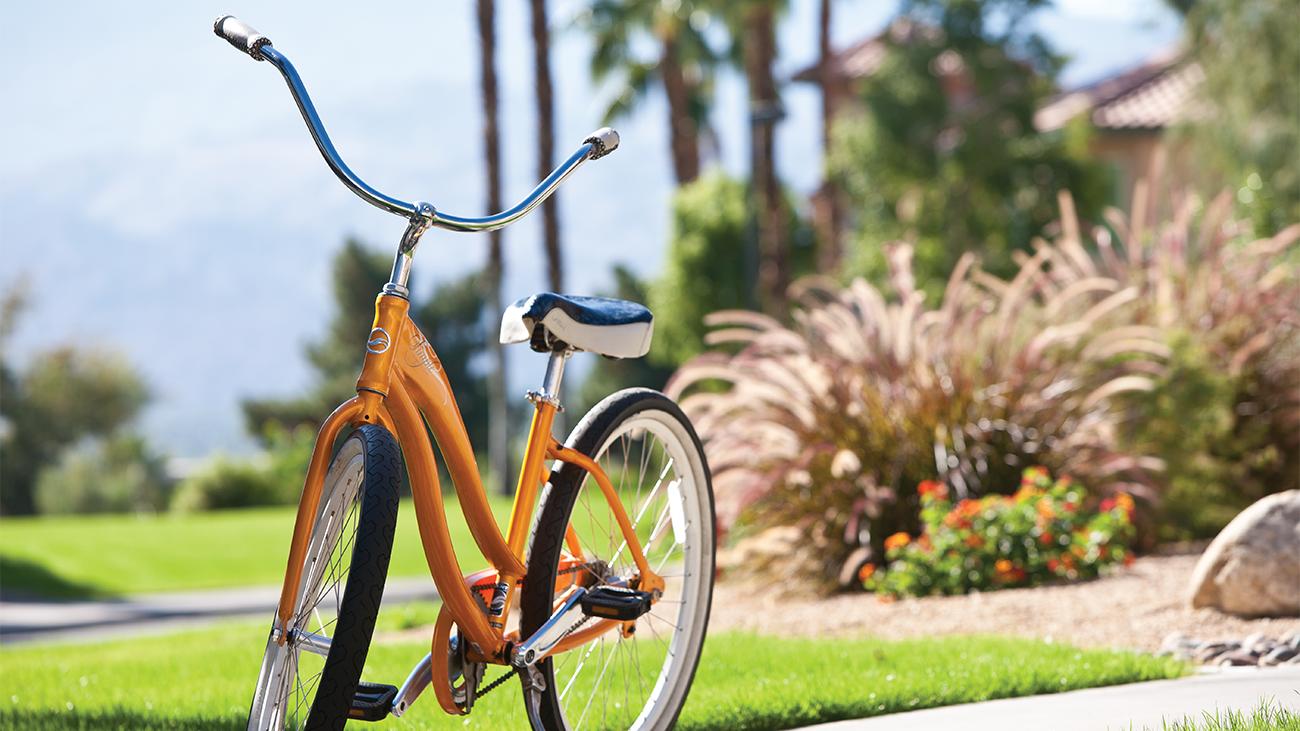 Bicycle Rentals